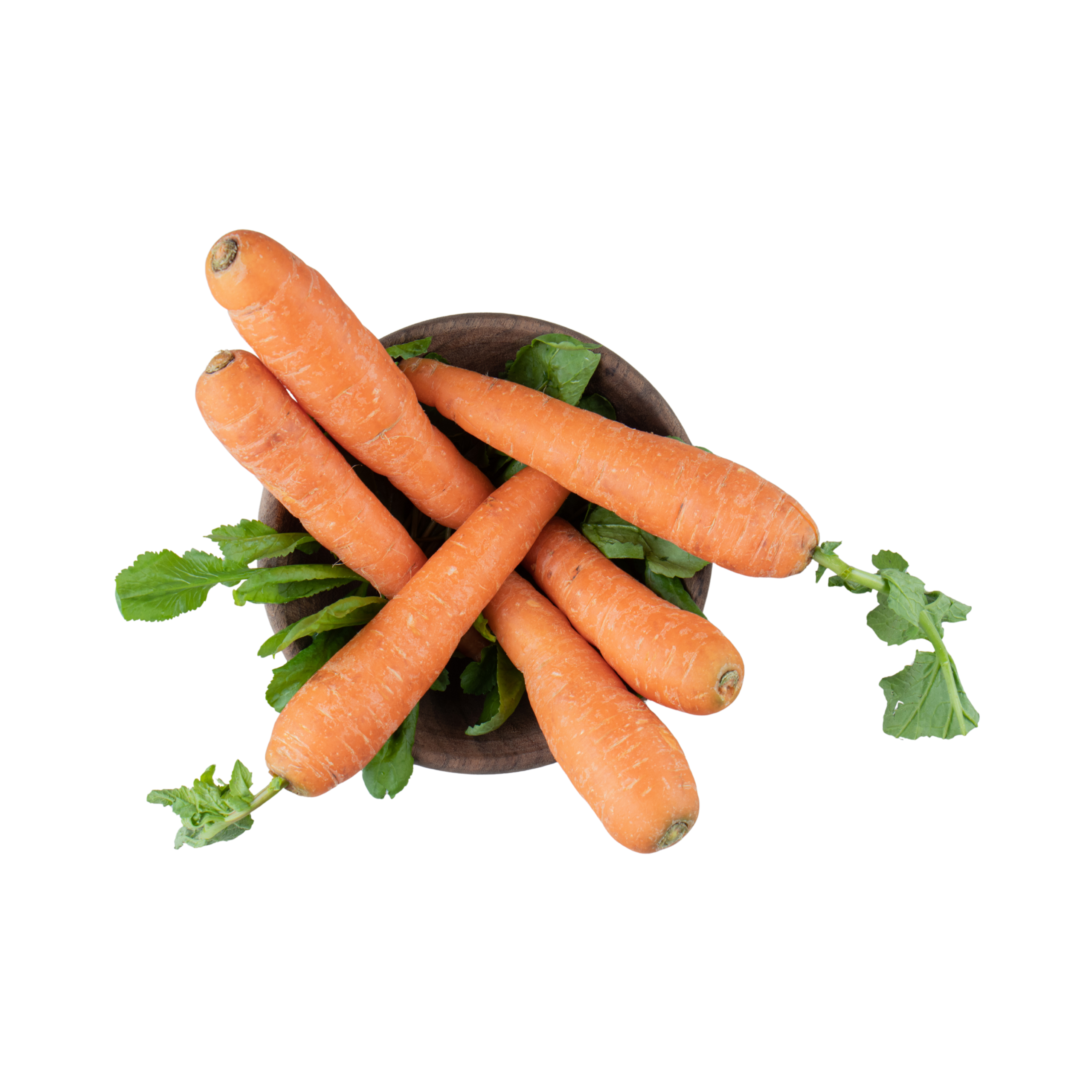 Orange Carrot (Orange Gajar/गाजर)