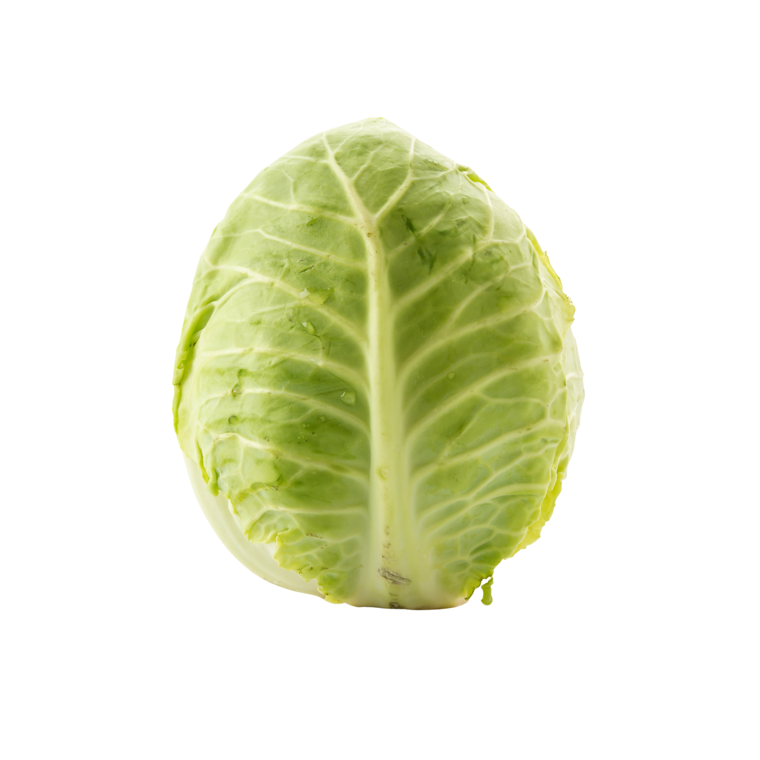 Cabbage (Patta Gobhi/पत्ता गोभी)