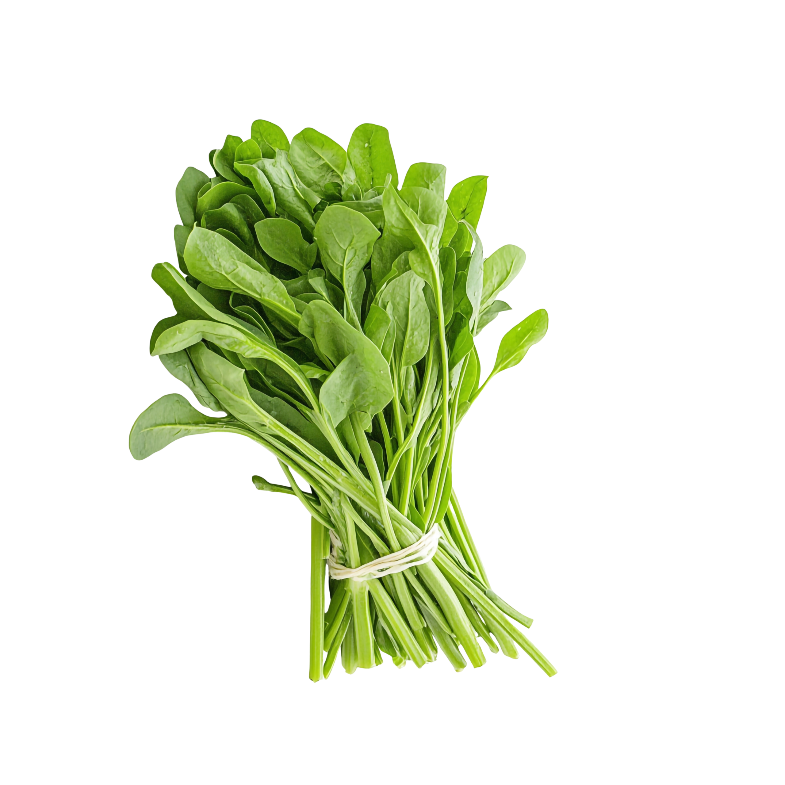 Spinach (Palak/पालक)