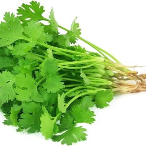 Dhania धनिया